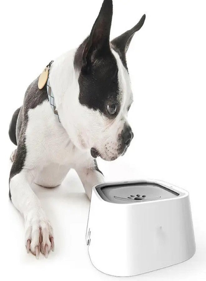 Aakarit Plastic Dog Water Bowl Non Spill Pet with Filter, Slow Feeder Vehicle Carried Splash Free for Cats, Floating Disk | Multicolor - Image 1